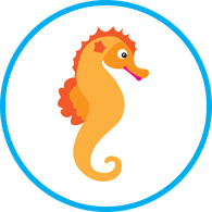 Seahorse