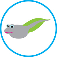 Tadpole